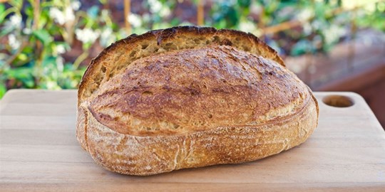 Wildflour Canberra Pty Ltd