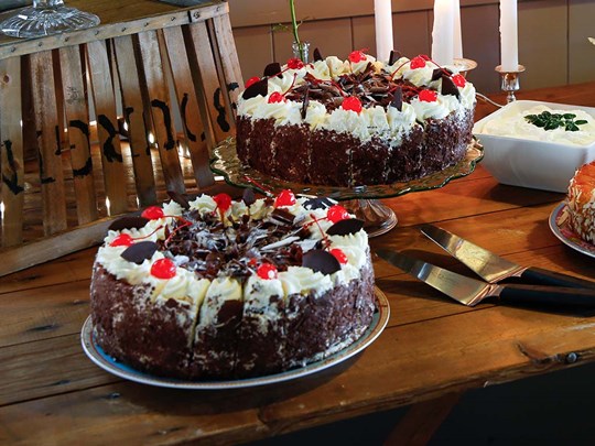 Eden Catering LTD
