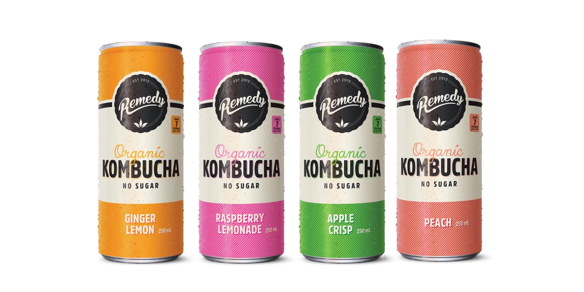 Kombucha. 250ml
