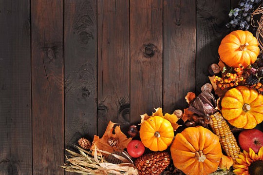 Dave's Fresh Marketplace