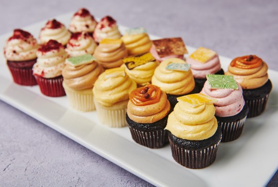 Cater Lady NYC LLC