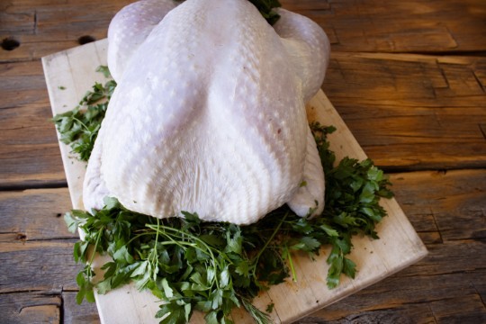 Luke's Local Holiday Catering