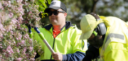 Waverley Social Enterprises