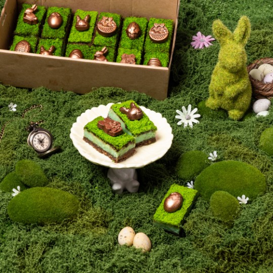 Catering Project
